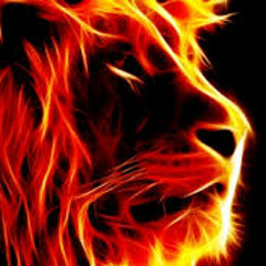 New Fire Dub