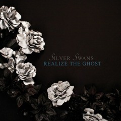 Realize The Ghost by Silver Swans