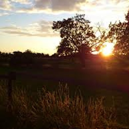 Tim McGraw Meanwhile Back At Mama's (Cover)