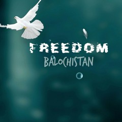 O Baloch Merrein Baloch