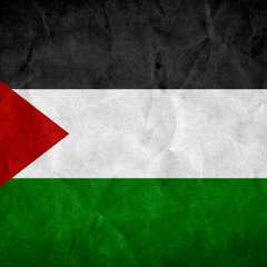 Palestina Solidariteit (deel 1)