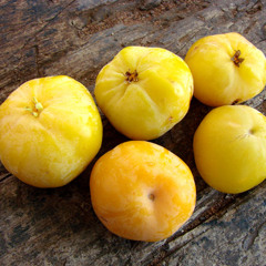 Ondas da Ciência 030 - Frutas do Cerrado - Pesquisa desenvolve bebida alcoólica de cagaita