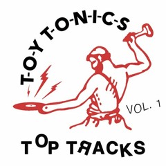 Dj Steef_Venusian Missing - Toy Tonics 04