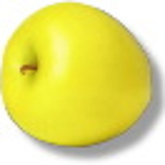 yellow dictitation