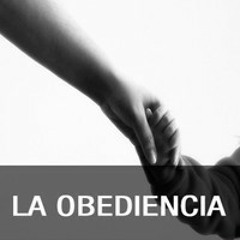 Chuy Olivares - La obediencia