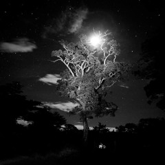 Le Ratafia [Efdmin Rmix x Pabla M]