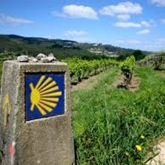 Revelação( Compostella voz Demo)