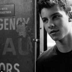 Life Of The Party (Shawn Mendes Cover)