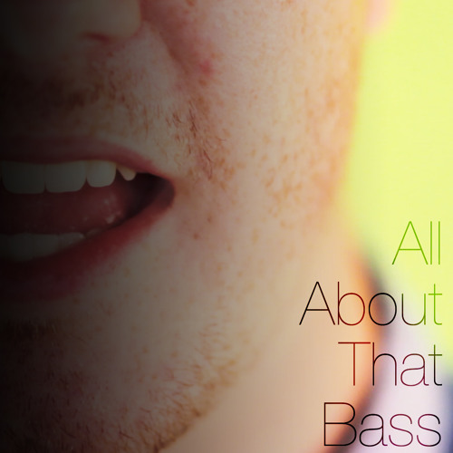 All About That Bass - A Cappella Cover