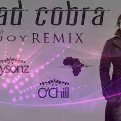 MAD COBRA FT SONZ & O'CHILL (enjoy Riddim ) Prod By Oh