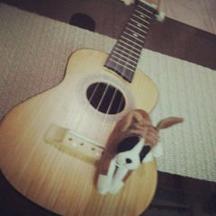 I Will (The Beatles) ukulele cover