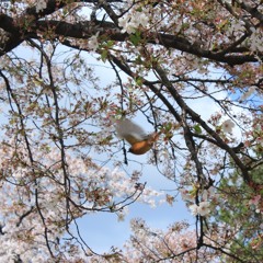 Hard to give you all my love