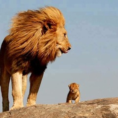 Love it