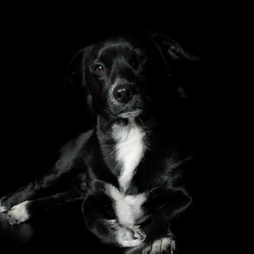 ~*~ SwInG/FunK/JaZZ ~*~