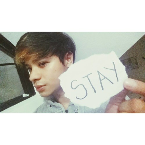 Stay (HappyKevin Cover)