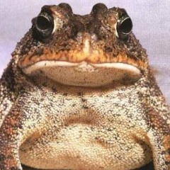 Coming to, again by galacticToad 1999 Mackenzie/Best