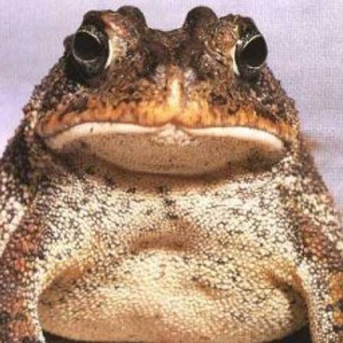 Coming to, again by galacticToad 1999 Mackenzie/Best