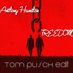 Anthony Hamilton - Freedom (Tom Pusch Edit)