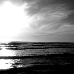 Dream in The Scheme of Things