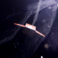 Funeral for the Garbage Collector