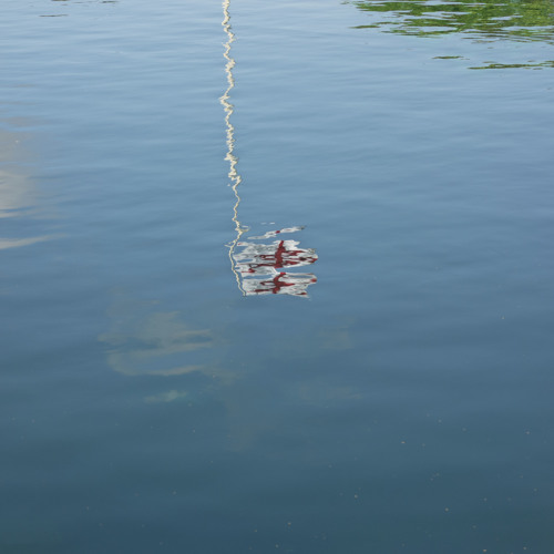 A Flag In The Water