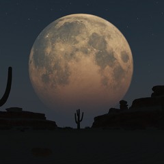 Night Desert