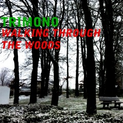 Walking Through The Woods (Free Download)