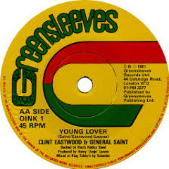 Clint eastwood & General Saint - Young lover (Robert Jean Remix)