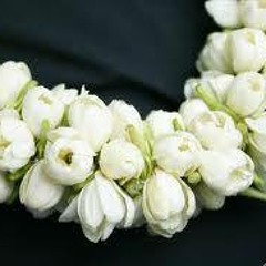 اغنيا المفضله