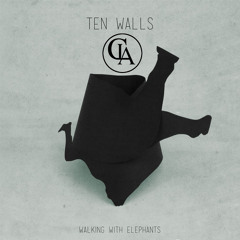 Freejak & Ten Walls Vs Soul 2 Soul - Back To Walking With Elephants (Discosid Mashup)