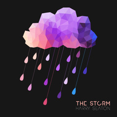 HARRY SEATON // THE STORM