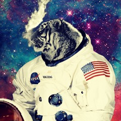 Chill n Trill
