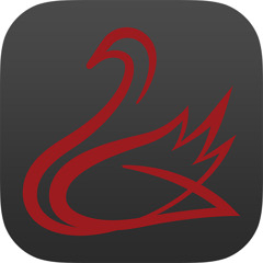 Codename Cygnus - Meet Ziba the Thug