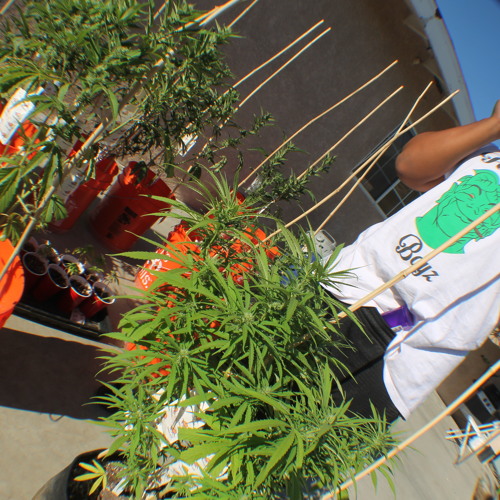 Eddy Baker - Nino Brown (Produced By Purp Dogg)