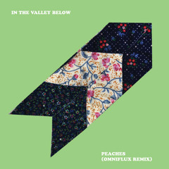 In The Valley Below - "Peaches" (Omniflux Remix)
