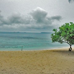 La Vie En Rose (HIMYM Ukulele Cover)