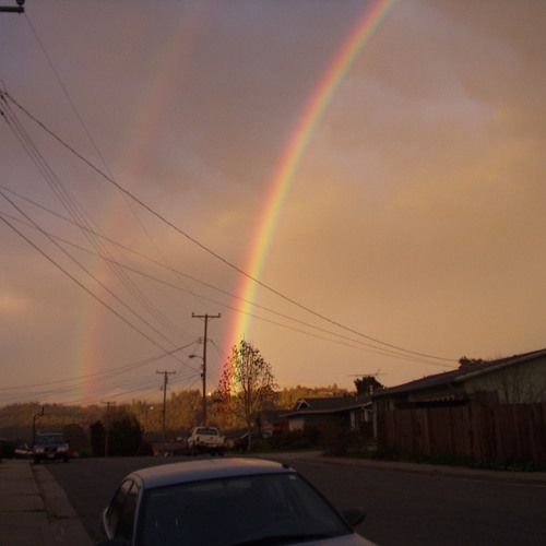 She Comes In Colors (Love cover)