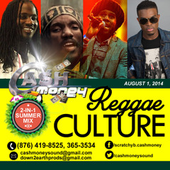 Cash Money Reggae Mix Released Aug 1, 2014