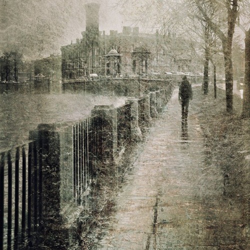 ساجدة عبيد عليمن يا قلب - YouTube