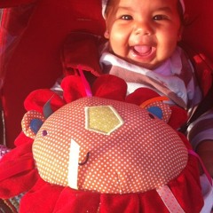 Seif