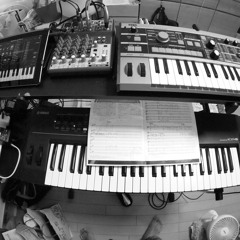 Everybody Had A Hard Year (HASYMO/YMO)