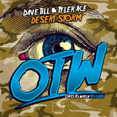 Dave Till & Tyler Ace - Desert Storm (Preview)