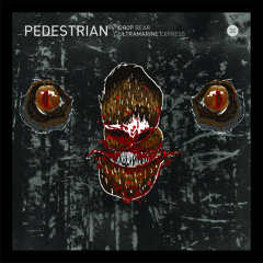 Pedestrian - Drop Bear (Tinman Warehouse Acid Remix)** VINYL ONLY OUT NOW**