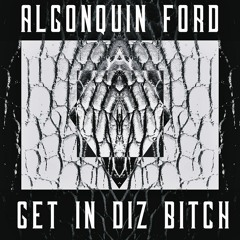 Get In Diz Bitch (2013)