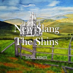 NEW SLANG - THE SHINS [Dude. REMIX] PREVIEW