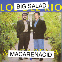 BIG SALAD - MACARENACID