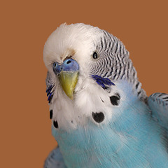 Art Lab #16 - Nic Casey and Alexis Scavito