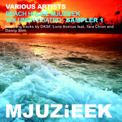 Luna Avenue - ''Love U Right'' (Rhythmic Groove's Beach House Mix)