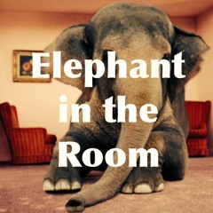 Elephant In The Room