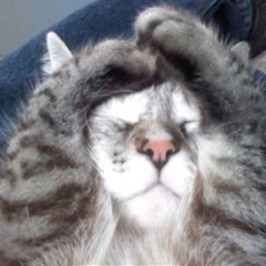 American Woman (The Guess Who)